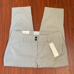 Charter Club Capris - PETITE